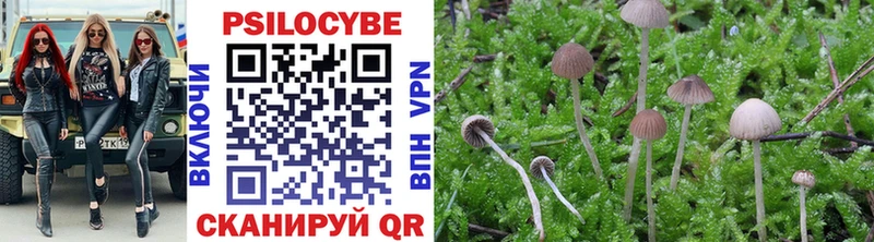 маркетплейс телеграм  OMG онион  Кирс  Псилоцибиновые грибы Cubensis 